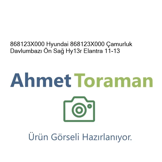Hyundai 868123X000 Elantra 868123X000 Çamurluk Davlumbazı