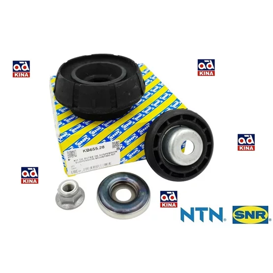 543A00001R 6001547499 Duster 543A00001r 6001547499 Amorti