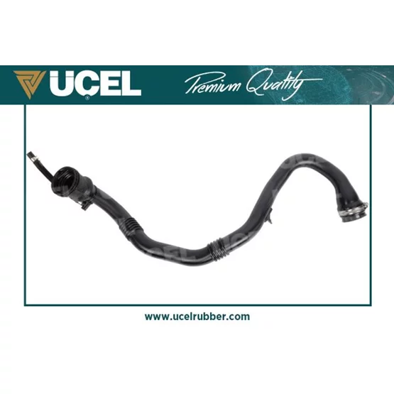 Dacia 144605567R Logan 144605567R Turbo Borusu 15136 Clio